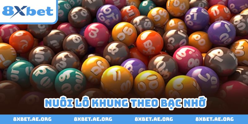 Nuôi lô theo phương pháp bạc nhớ có hiệu quả khủng
