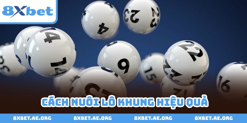 Cách nuôi lô khung