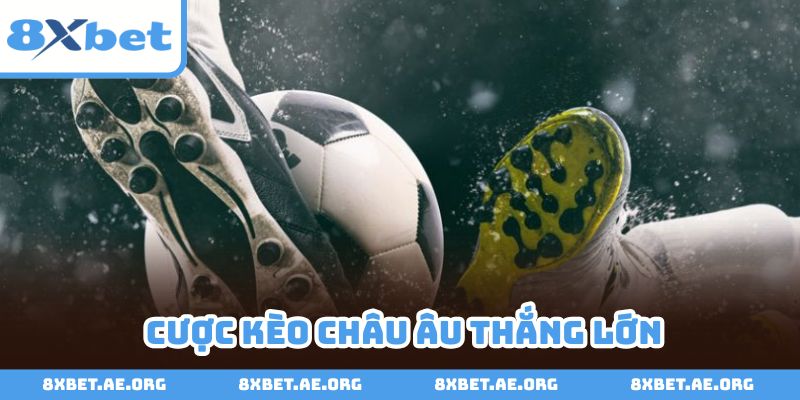 Lựa chọn loại hình cược châu Âu để dễ dàng chiến thắng
