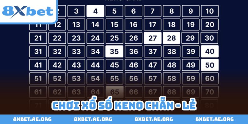 “Đổi gió” với cách chơi chẵn lẻ mang về thắng lợi lớn