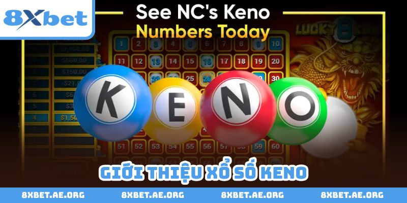 Xổ số keno - Loại hình giải trí đặc sắc, nổi bật
